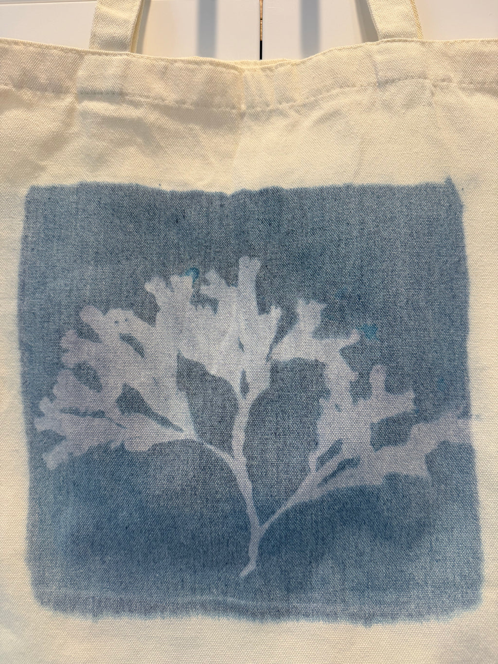 Vancouver Island Seaweed Cyanotype Tote