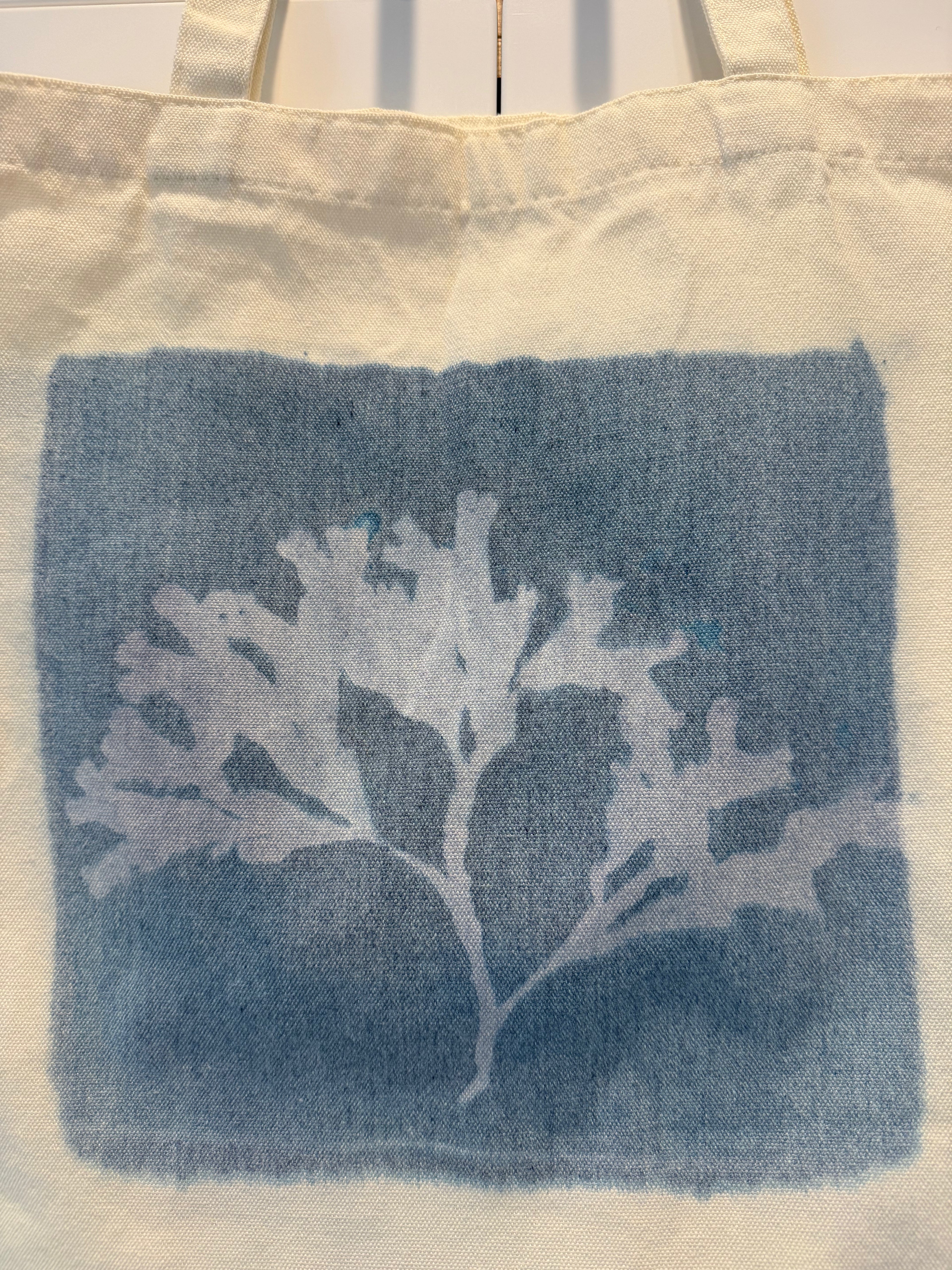 Vancouver Island Seaweed Cyanotype Tote